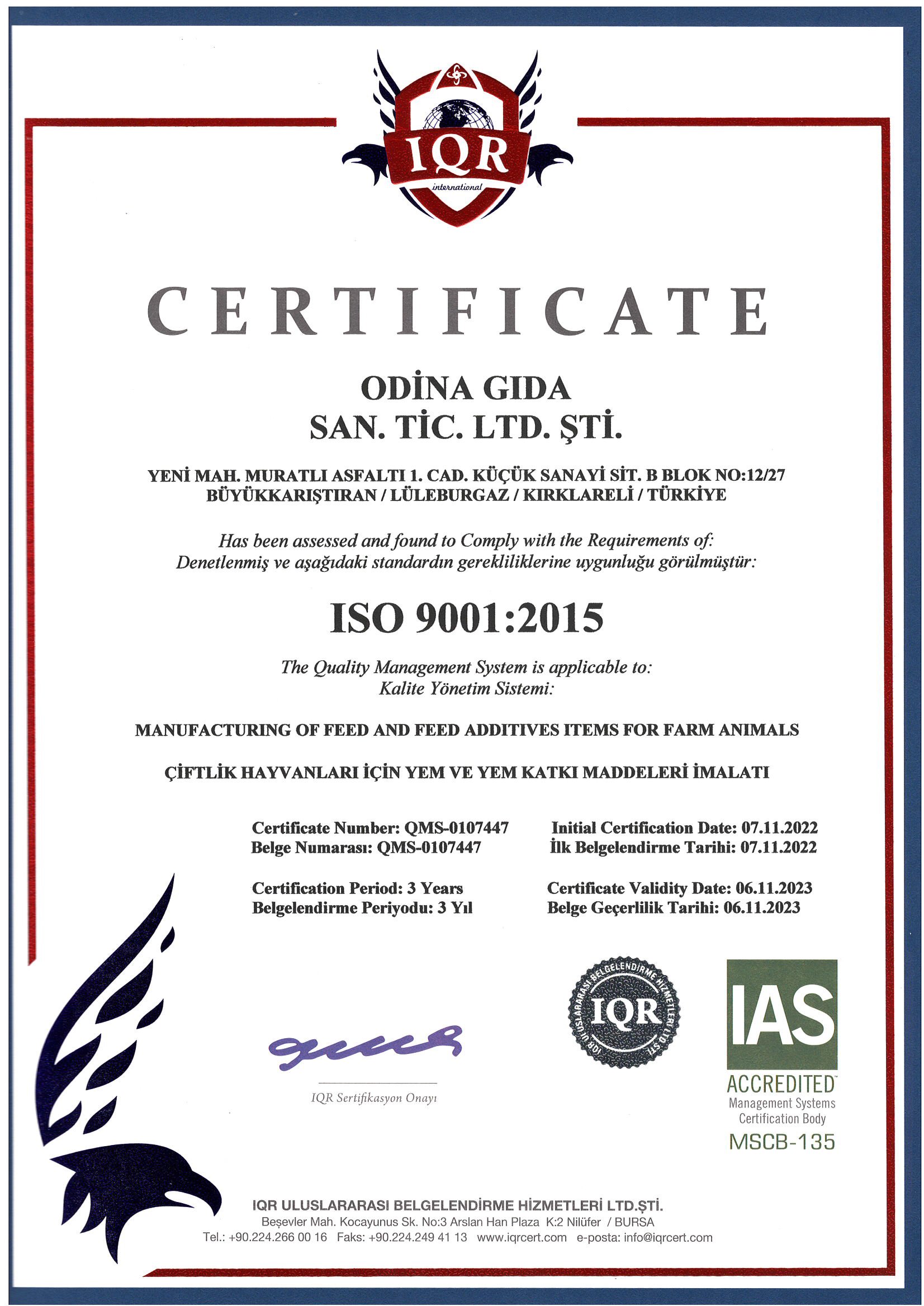 iso 9001